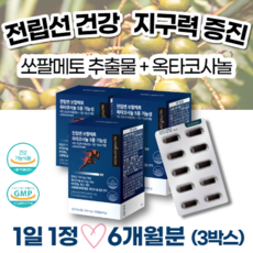gmp기술인