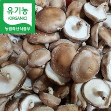 [해담은농장] 유기농 생표고버섯 8kg, 파지 8kg, 1개