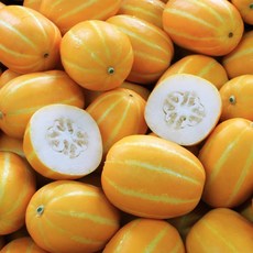 성주 꿀 참외 (실속형)(로얄과) [원산지:국산(경상북도 성주군)], 1개, 2kg