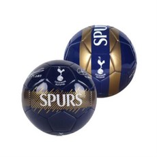 손흥수민사집행법