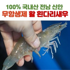 곰새우