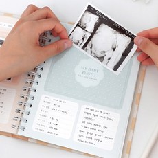 임신 일기 태교 다이어리 산모수첩 일기장 성장 아기 임산부 아기 애기 초음파 플래너, 도트