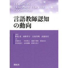 언어 교사인지 동향, 단일옵션, 단일옵션