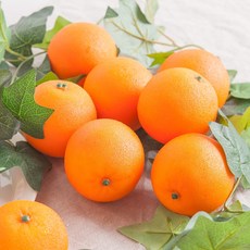 REAL 모조야채 모형채소 가짜 소품, 과일모형_오렌지 -8개