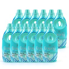 다우니 초고농축 섬유유연제 엑스퍼트 실내건조 1L x12개, 단품