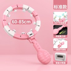 추훌라후프 스마트 뱃살운동 허리 다이어트 홈트 지압, AL