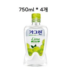 가그린캐릭터개구리