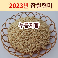 [2023년 누룽지향 찹쌀현미] 설향찰 햇찰현미 향미찹쌀 찰진찹쌀현미 향찰현미 산지직송 흙사랑농장 모이랑, 찹쌀현미1kg, 1개