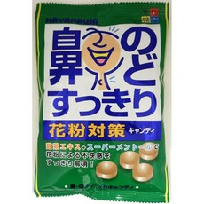 하야카와제과 콧속 맑은 캔디 70g_20봉지, 20개, 70g