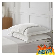 [바이알러] 알러지케어 낮은 DI 베개솜 4장베개 4장