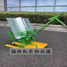 벼모종
