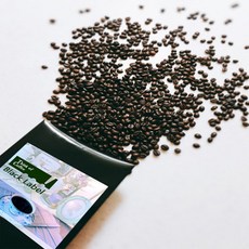 eec01b5db7aa740796a22a2897e76eb1d4ebaa431aa584620d7fe8f980fe.jpg
