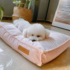 진심방석