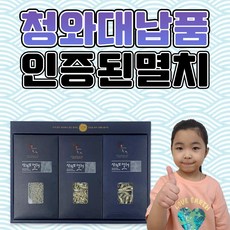 남해안 국내산 국물용 안주용 건어물 삼천포 명품멸치 선물용 세트 영이네멸치, 멸치선물세트 6종