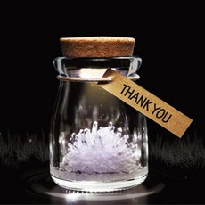 크리스탈키우기