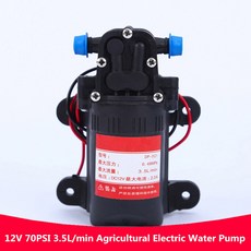 DP-521 농업 전기 워터 펌프 마이크로 고압 내구성 다이어프램 물 스프레이 세차 12V 220V 70PSI 3.5L/min, 1개