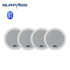 jblpulse4