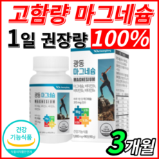 식약청 인증 고함량 마그네슘 100% 비타민 비 B b1 b2 b6 에너지 신경 근육 기능 유지 필요 식약처 인정 마그 네슘 사은품증정, 90정, 1개