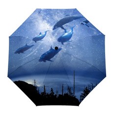 돌고래우산