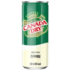 Coca Cola 캐나다 드라이 진저에일 탄산음료 250ml 30입, 6세트