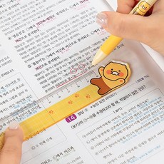 카카오프렌즈 춘식이 30cm 자 1800, 단품, 단품