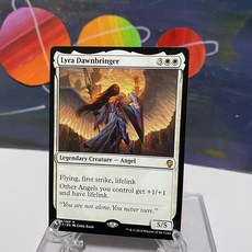 스팀100리라