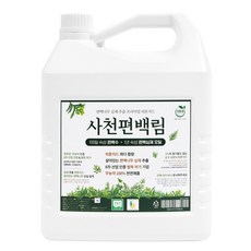 심재편백수