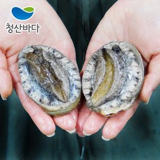 청산바다전복장콤보세트