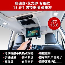 카니발천정형tv