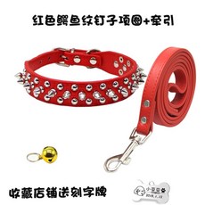 15kg목튜브