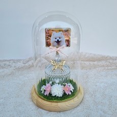 메모리얼스톤보관함 애견추모함 유골함 반려동물 추모공간 반려견 추모함 강아지 추모함 고양이 추모함 스톤보관함 유골보관함, 1개