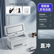 휴대용 약품냉장고 인슐린 의약품 주입 케이스 백신 의료용 냉동 상자 냉장고 자동차 충전 가정용