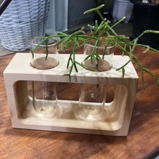 LAX029716원목우드 유리화병 사각2구 17x6x10cm