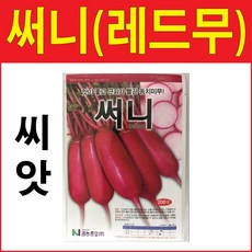 써니씨앗 200알 무씨앗 동치미무 과일무 적무 씨앗