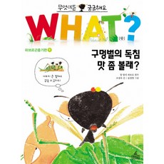 what시리즈중고