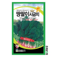 요양원게이트볼