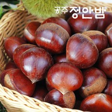 공주22년햇밤