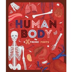 (영문도서) Human Body Hardcover, Booklife, English, 9781912171194