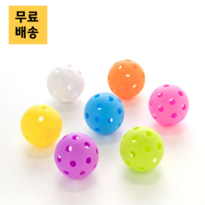 로디문 플로어볼 공 10개세트 실내용26홀 야외용40홀 랜덤색상