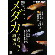 일본의 브리더가 가르치는 송사리 재배 및 사육 기술, 단일옵션, 단일옵션