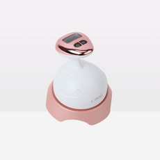 비비도고주파