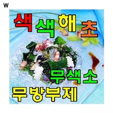 색색해초50봉