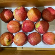 산지직송 경북 문경 청송 정품 홍로 햇사과 꿀사과, 1박스, 2kg (10-13과)