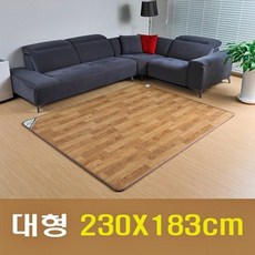 무전자전기모노륨