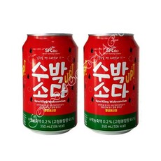 수박소다 1박스 350ml 24캔입 SFC 갈증해소 과즙탄산음료, 350ml x 24캔입