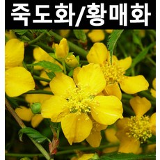 bc5ef886f44adc2b20d829f461573c2d55f3657a70d744fa00c6a26dfcfa.jpg