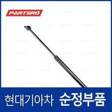 아슬란 순정 본네트 쇼바(후드 리프트) (81161F5000) 아슬란 현대모비스 부품몰, 1개