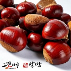 2024년 공주햇밤 산지농협 알밤 세척밤, 1박스, 공주알밤 2Kg [대]