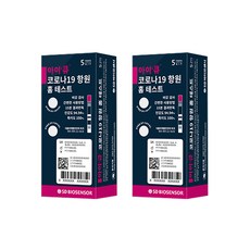 iq검사