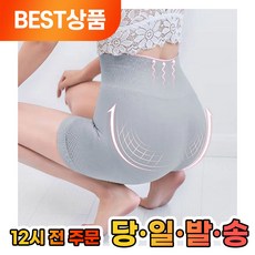 프루픽 똥배 보정속옷 여성 뱃살 보정 거들 팬티 1개 스킨 L - 여성뱃살보정속옷똥배팬티거들힙업올인원